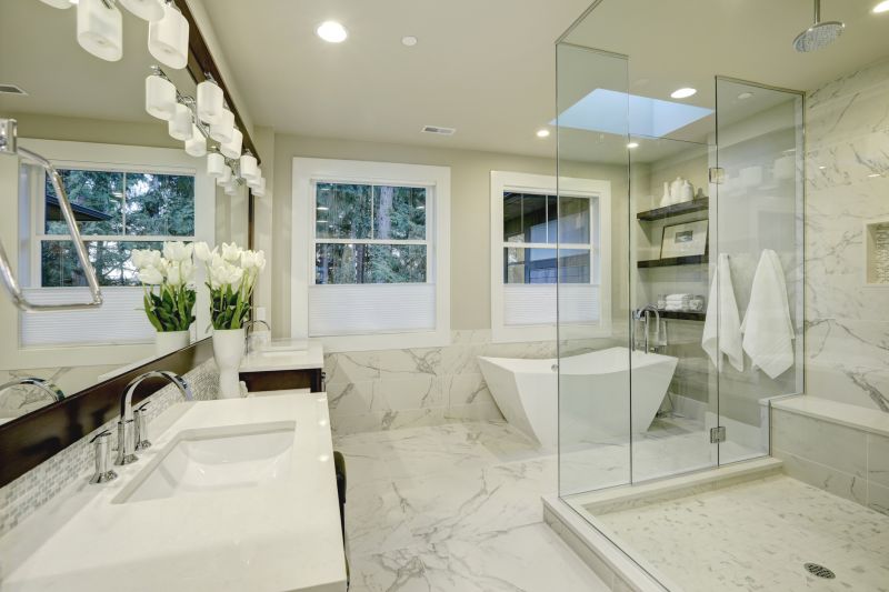 Stylish Tub to Shower Conversion